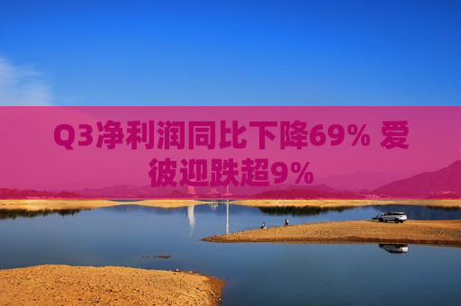 Q3净利润同比下降69% 爱彼迎跌超9%