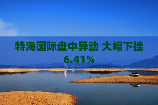 特海国际盘中异动 大幅下挫6.41%