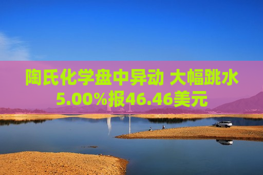 陶氏化学盘中异动 大幅跳水5.00%报46.46美元