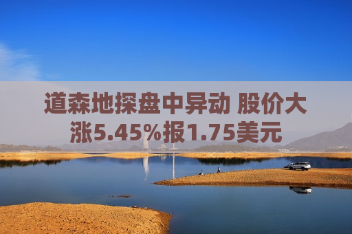 道森地探盘中异动 股价大涨5.45%报1.75美元