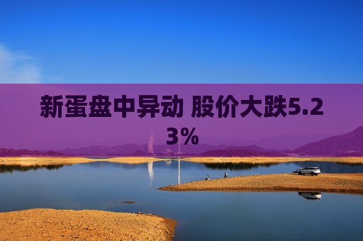 新蛋盘中异动 股价大跌5.23%