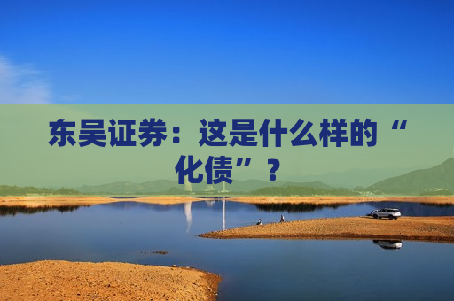 东吴证券：这是什么样的“化债”？