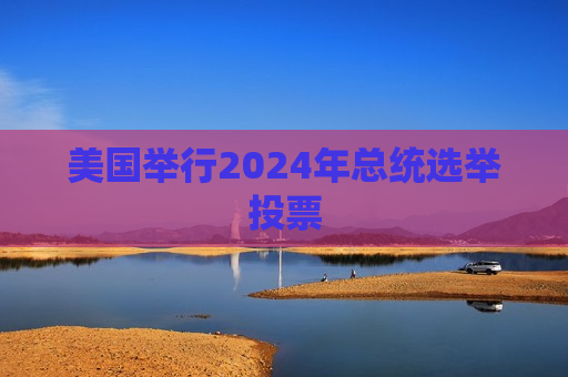 美国举行2024年总统选举投票