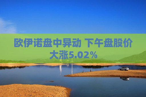 欧伊诺盘中异动 下午盘股价大涨5.02%  第1张