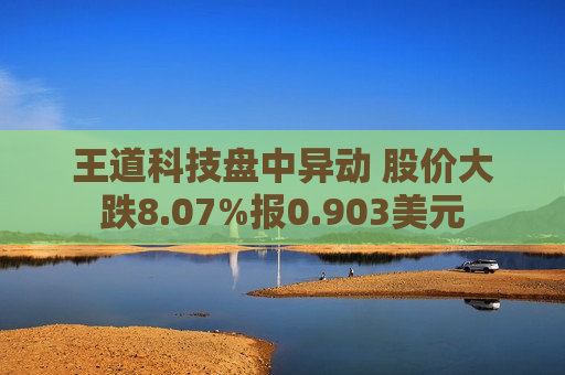 王道科技盘中异动 股价大跌8.07%报0.903美元