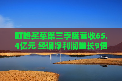 叮咚买菜第三季度营收65.4亿元 经调净利润增长9倍