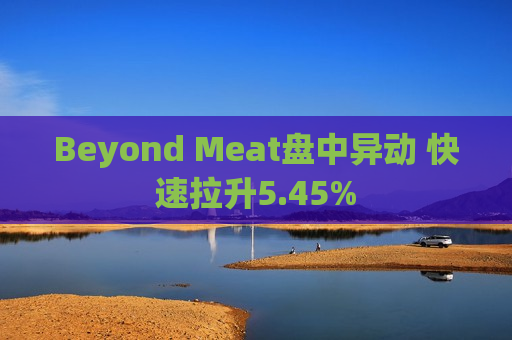 Beyond Meat盘中异动 快速拉升5.45%