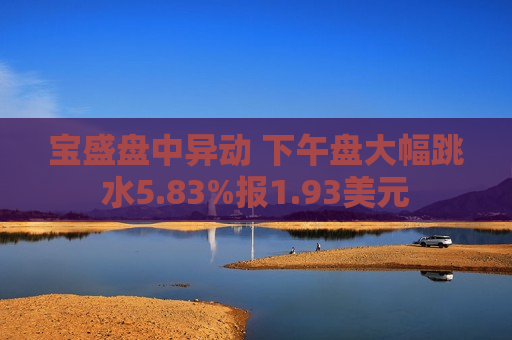 宝盛盘中异动 下午盘大幅跳水5.83%报1.93美元