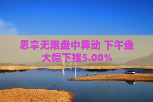 思享无限盘中异动 下午盘大幅下挫5.00%