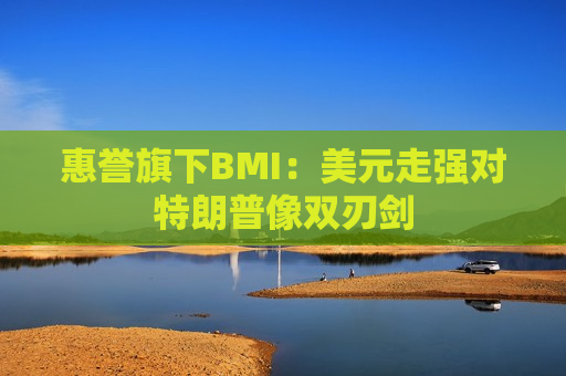 惠誉旗下BMI：美元走强对特朗普像双刃剑