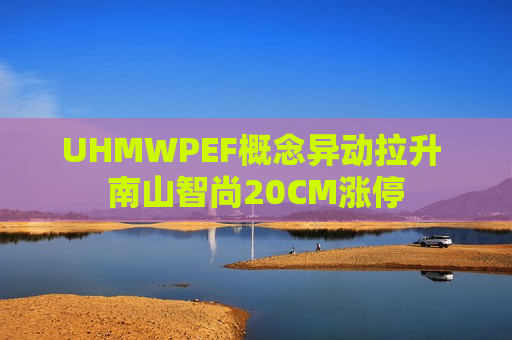 UHMWPEF概念异动拉升 南山智尚20CM涨停  第1张