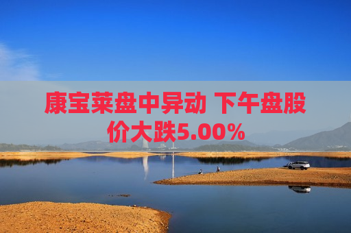 康宝莱盘中异动 下午盘股价大跌5.00%