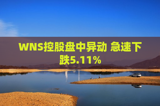 WNS控股盘中异动 急速下跌5.11%