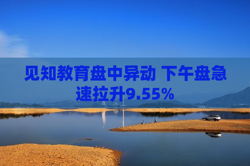 见知教育盘中异动 下午盘急速拉升9.55%