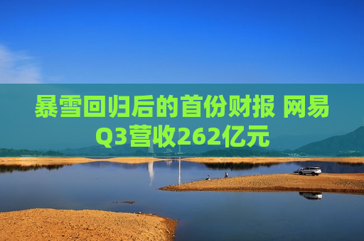 暴雪回归后的首份财报 网易Q3营收262亿元