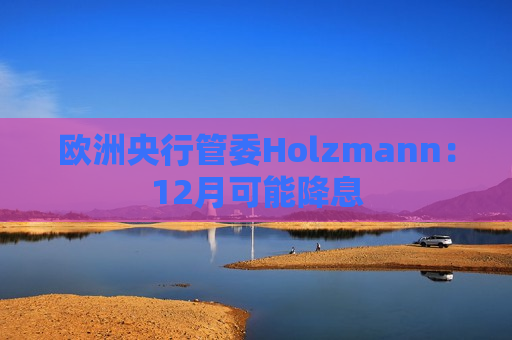 欧洲央行管委Holzmann：12月可能降息