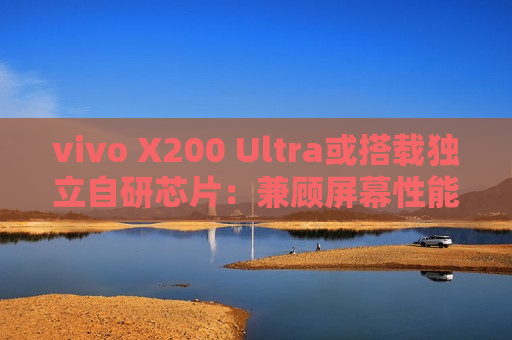 vivo X200 Ultra或搭载独立自研芯片：兼顾屏幕性能和影像AI算法  第1张