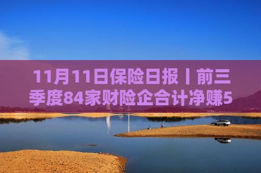 11月11日保险日报丨前三季度84家财险企合计净赚507亿，“老三家”占比超八成！险企破解商保年金经营难点