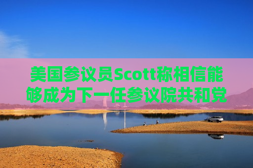 美国参议员Scott称相信能够成为下一任参议院共和党领袖