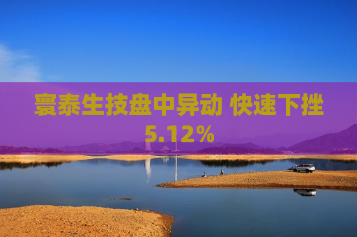 寰泰生技盘中异动 快速下挫5.12%