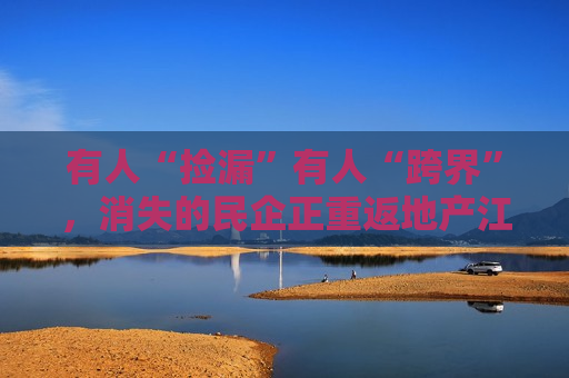 有人“捡漏”有人“跨界”，消失的民企正重返地产江湖