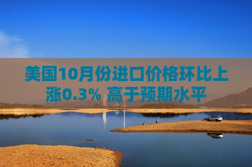 美国10月份进口价格环比上涨0.3% 高于预期水平