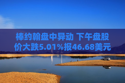 棒约翰盘中异动 下午盘股价大跌5.01%报46.68美元