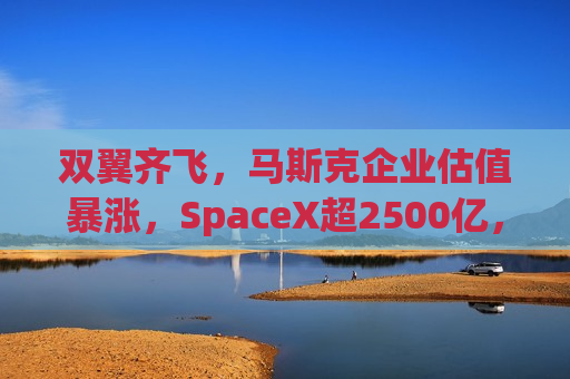 双翼齐飞，马斯克企业估值暴涨，SpaceX超2500亿，xAI达450亿