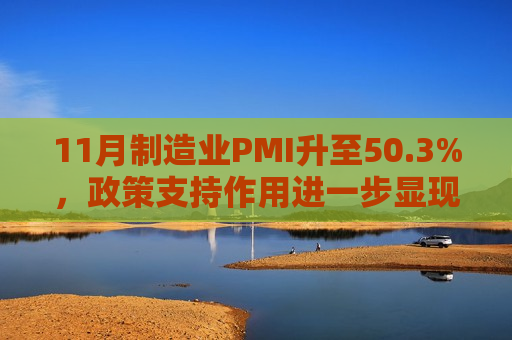 11月制造业PMI升至50.3%，政策支持作用进一步显现  第1张