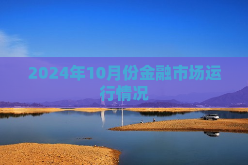 2024年10月份金融市场运行情况