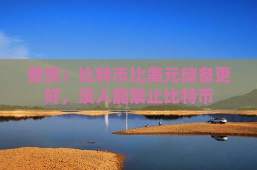 普京：比特币比美元储备更好，没人能禁止比特币