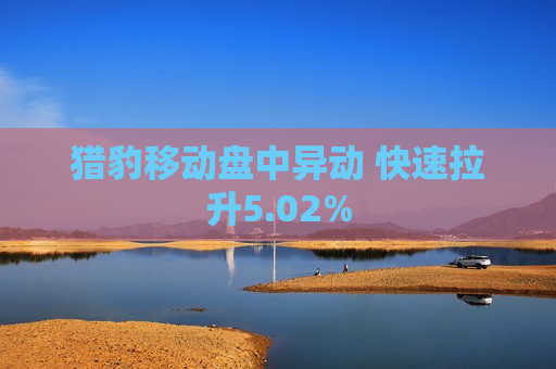 猎豹移动盘中异动 快速拉升5.02%