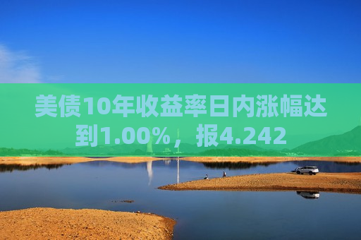 美债10年收益率日内涨幅达到1.00%，报4.242  第1张