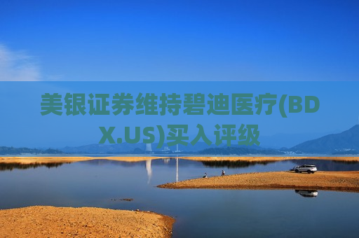 美银证券维持碧迪医疗(BDX.US)买入评级