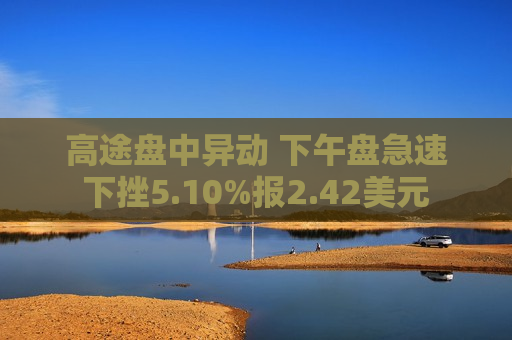 高途盘中异动 下午盘急速下挫5.10%报2.42美元