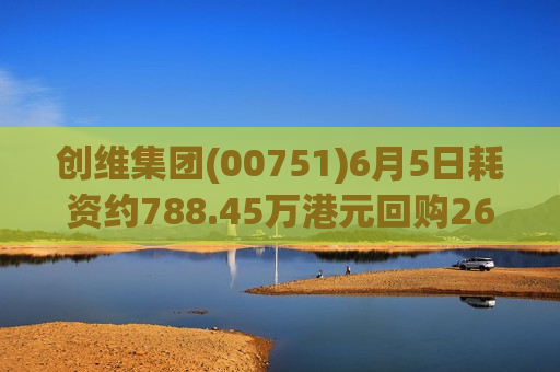 创维集团(00751)6月5日耗资约788.45万港元回购265万股  第1张