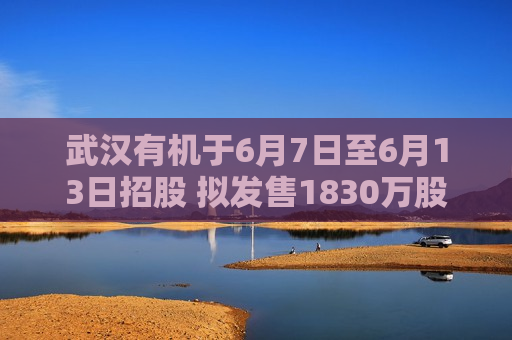 武汉有机于6月7日至6月13日招股 拟发售1830万股