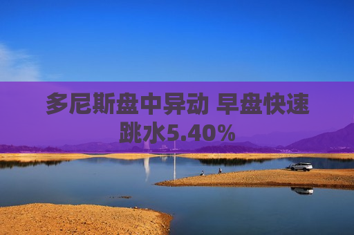 多尼斯盘中异动 早盘快速跳水5.40%  第1张