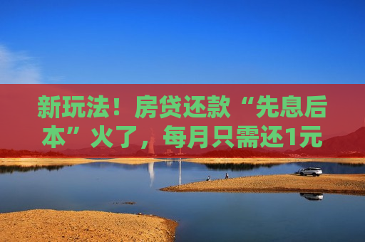 新玩法！房贷还款“先息后本”火了，每月只需还1元钱本金？媒体：别迷了眼