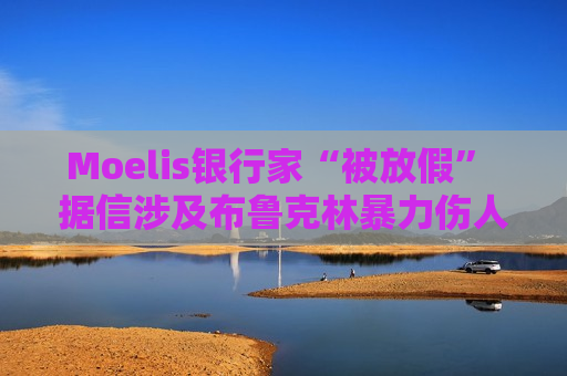 Moelis银行家“被放假” 据信涉及布鲁克林暴力伤人事件  第1张