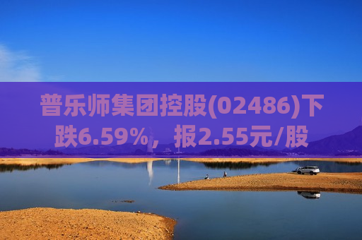 普乐师集团控股(02486)下跌6.59%，报2.55元/股