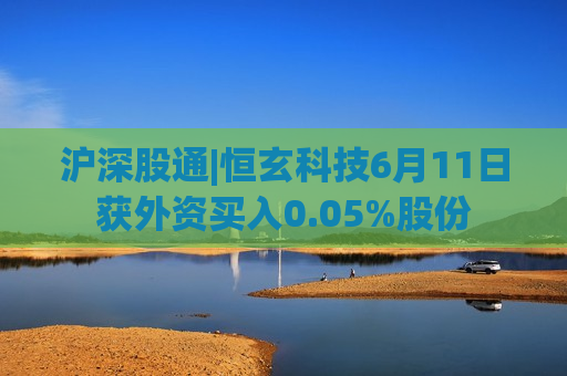 沪深股通|恒玄科技6月11日获外资买入0.05%股份