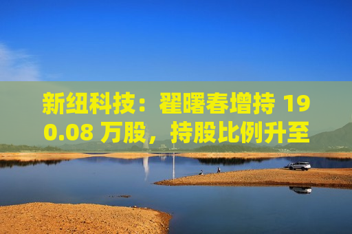 新纽科技：翟曙春增持 190.08 万股，持股比例升至 32.26%  第1张