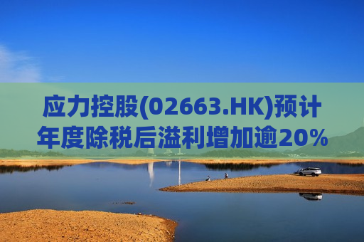 应力控股(02663.HK)预计年度除税后溢利增加逾20%  第1张