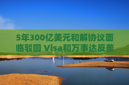 5年300亿美元和解协议面临驳回 Visa和万事达反垄断调查仍未结束  第1张