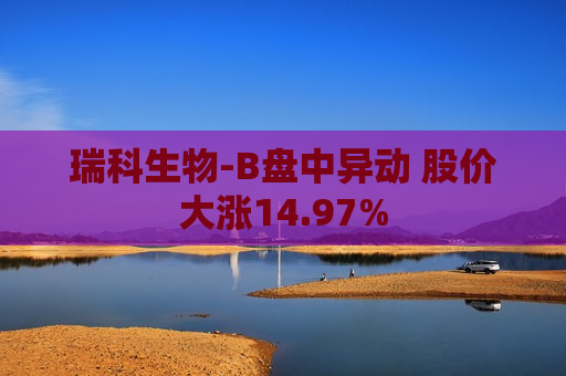 瑞科生物-B盘中异动 股价大涨14.97%  第1张