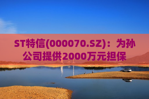 ST特信(000070.SZ)：为孙公司提供2000万元担保  第1张