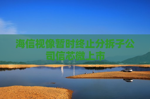 海信视像暂时终止分拆子公司信芯微上市  第1张