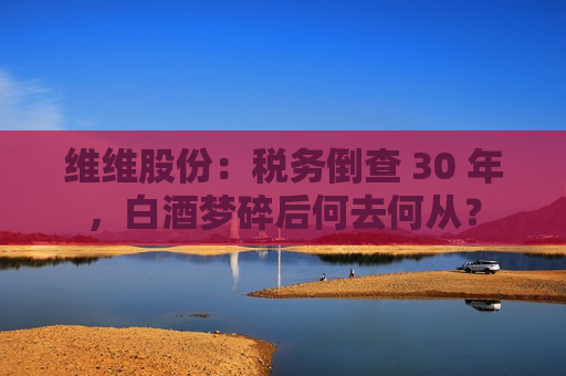 维维股份：税务倒查 30 年，白酒梦碎后何去何从？  第1张