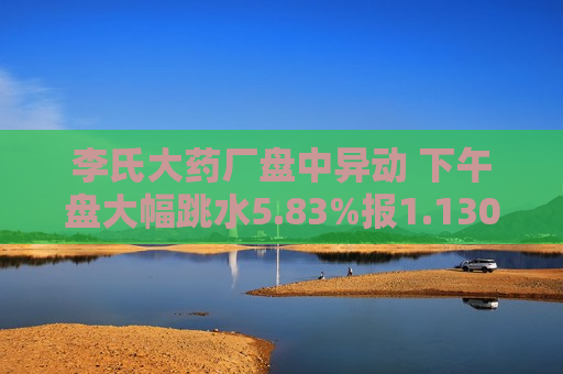 李氏大药厂盘中异动 下午盘大幅跳水5.83%报1.130港元  第1张